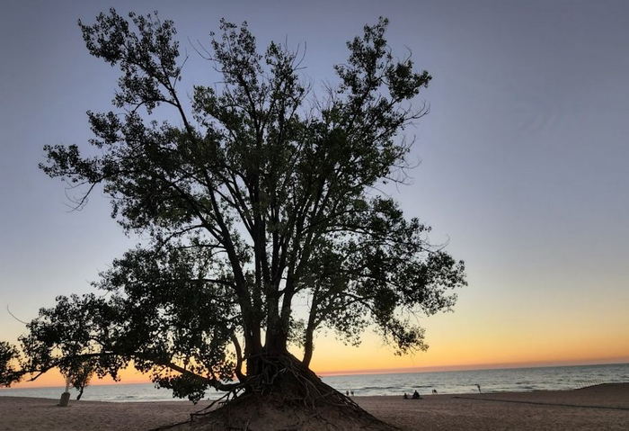 Warren Dunes State Park - 2023 Recent Photo From Website (newer photo)